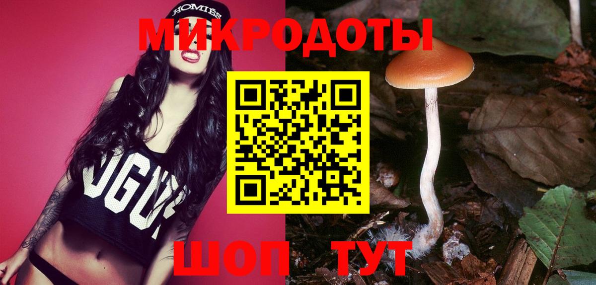 Новокубанск  Псилоцибиновые грибы GOLDEN TEACHER  Вход с VPN 