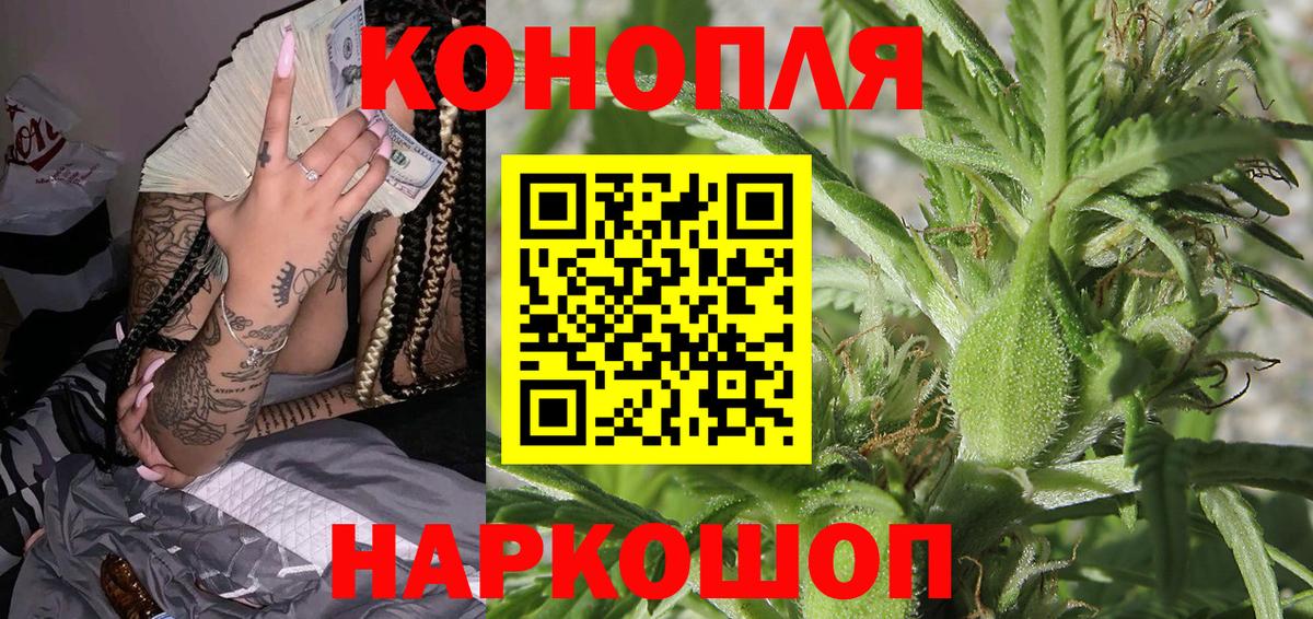 Бошки Шишки семена Новокубанск
